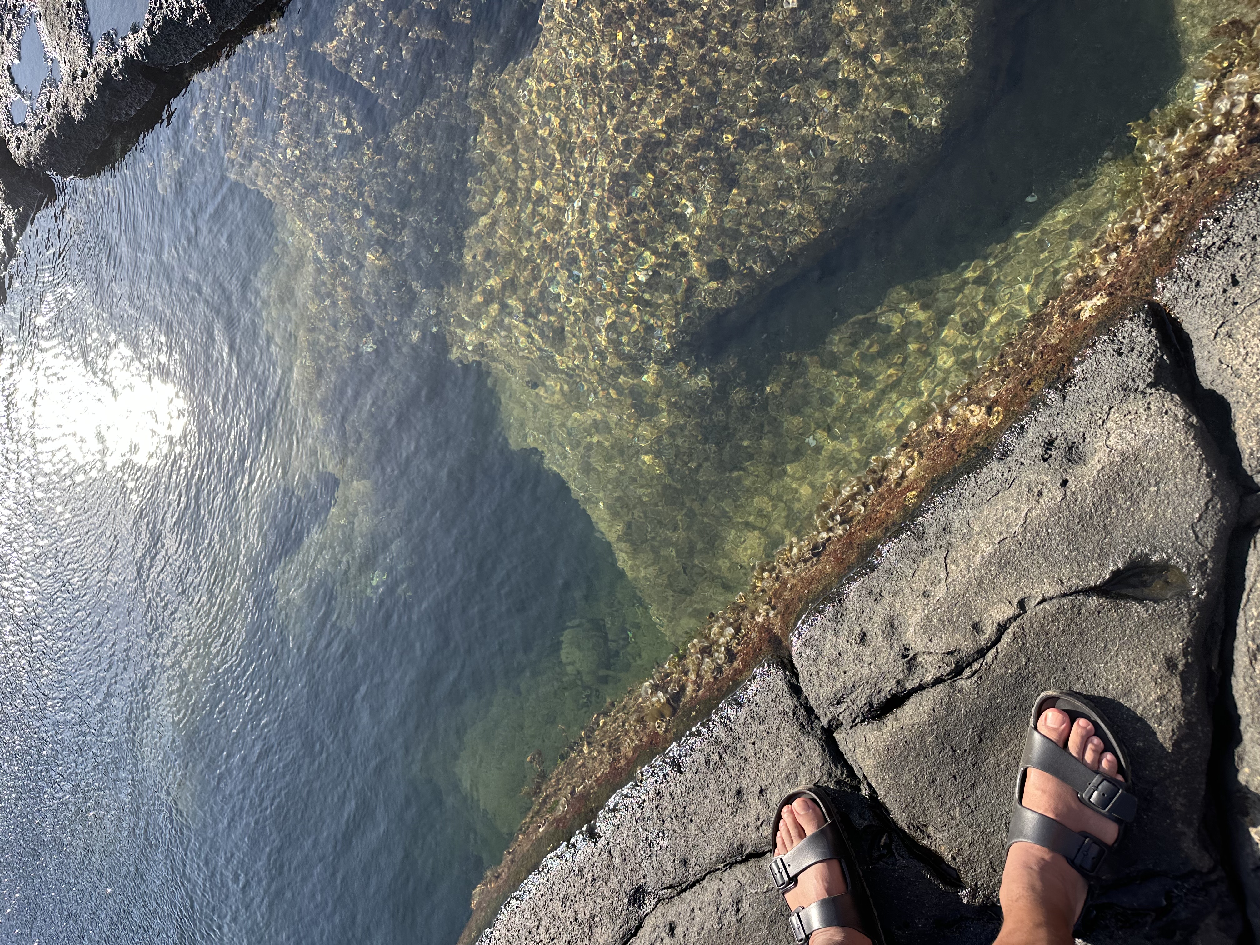 A look into an Olivine pool. Maui-A complete 7 day itinerary.