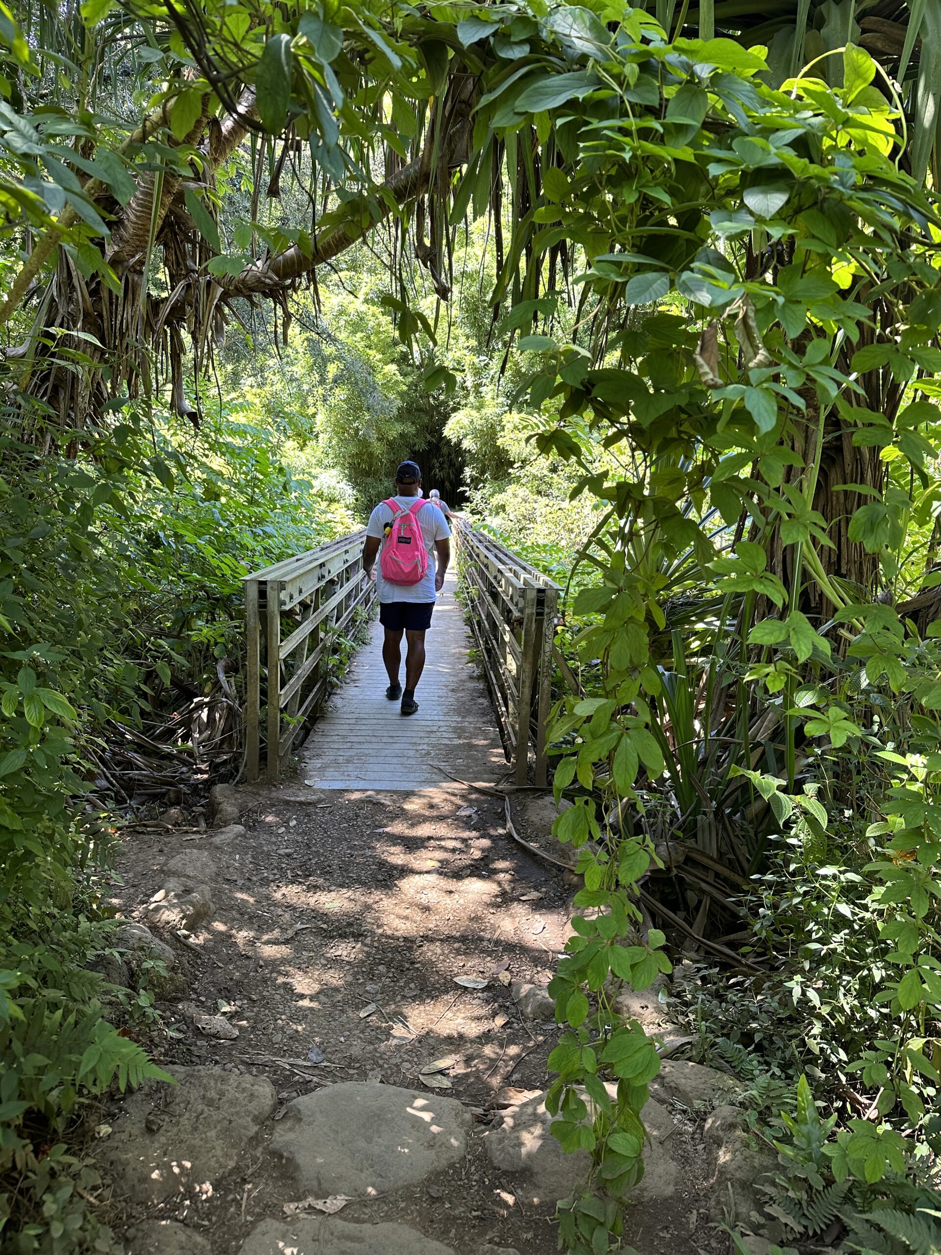 bridge on the pipiwai trail