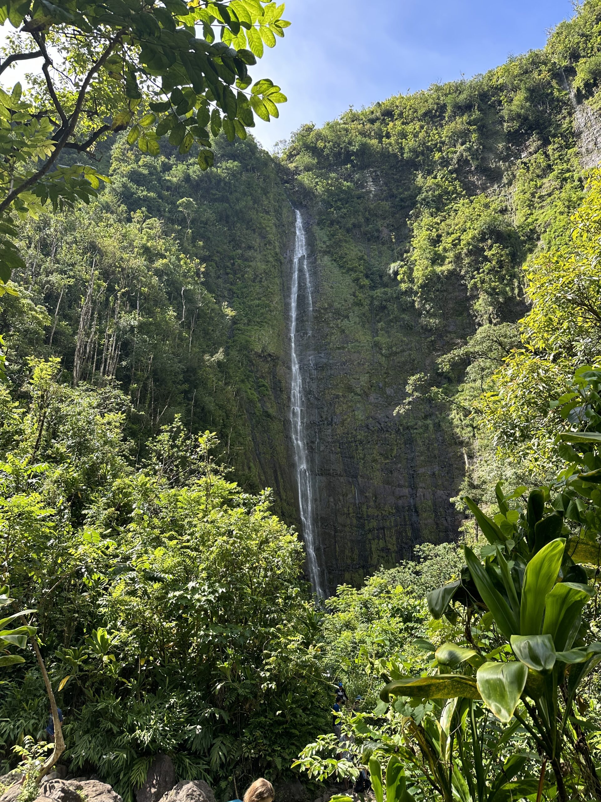 Waimoku falls 400ft!